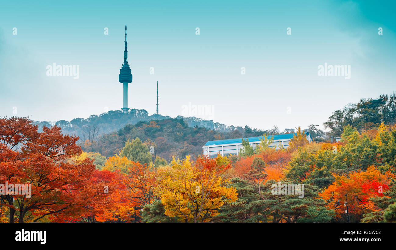 Namsan Seoul Tower mit Herbst Ahorn in Korea Stockfoto