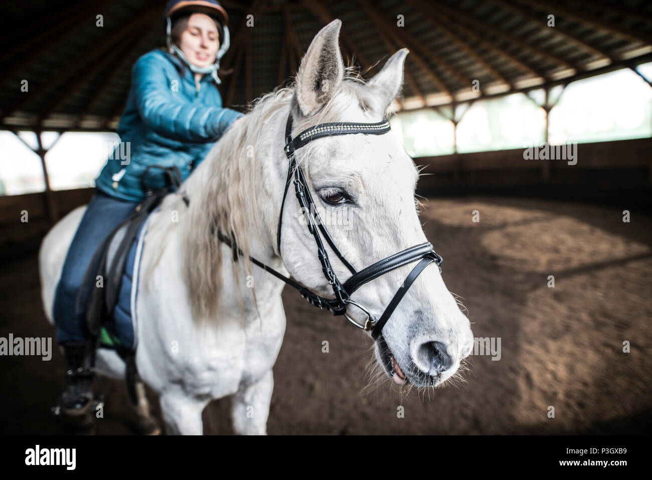 Frau reiten White Horse Stockfoto