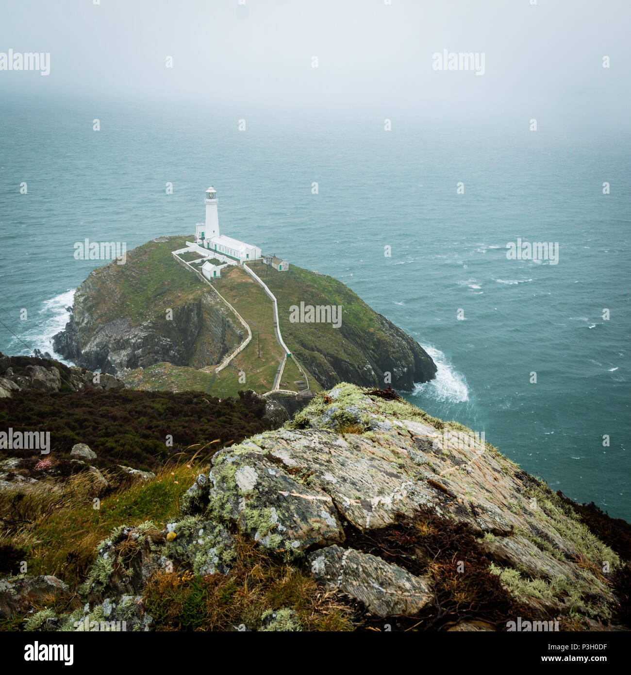 Die historische South Stack Leuchtturm auf einer kleinen Insel über ein Gefälle von 400 Schritten den steilen Klippen erreicht Festland entfernt. South Stack Rock l Stockfoto