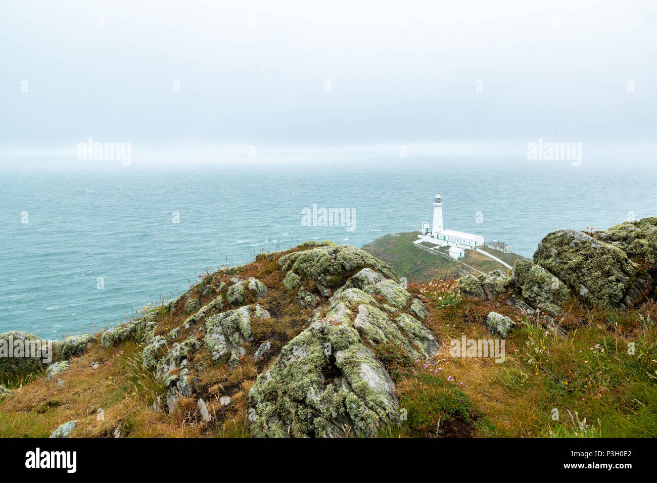 Die historische South Stack Leuchtturm auf einer kleinen Insel über ein Gefälle von 400 Schritten den steilen Klippen erreicht Festland entfernt. South Stack Rock l Stockfoto
