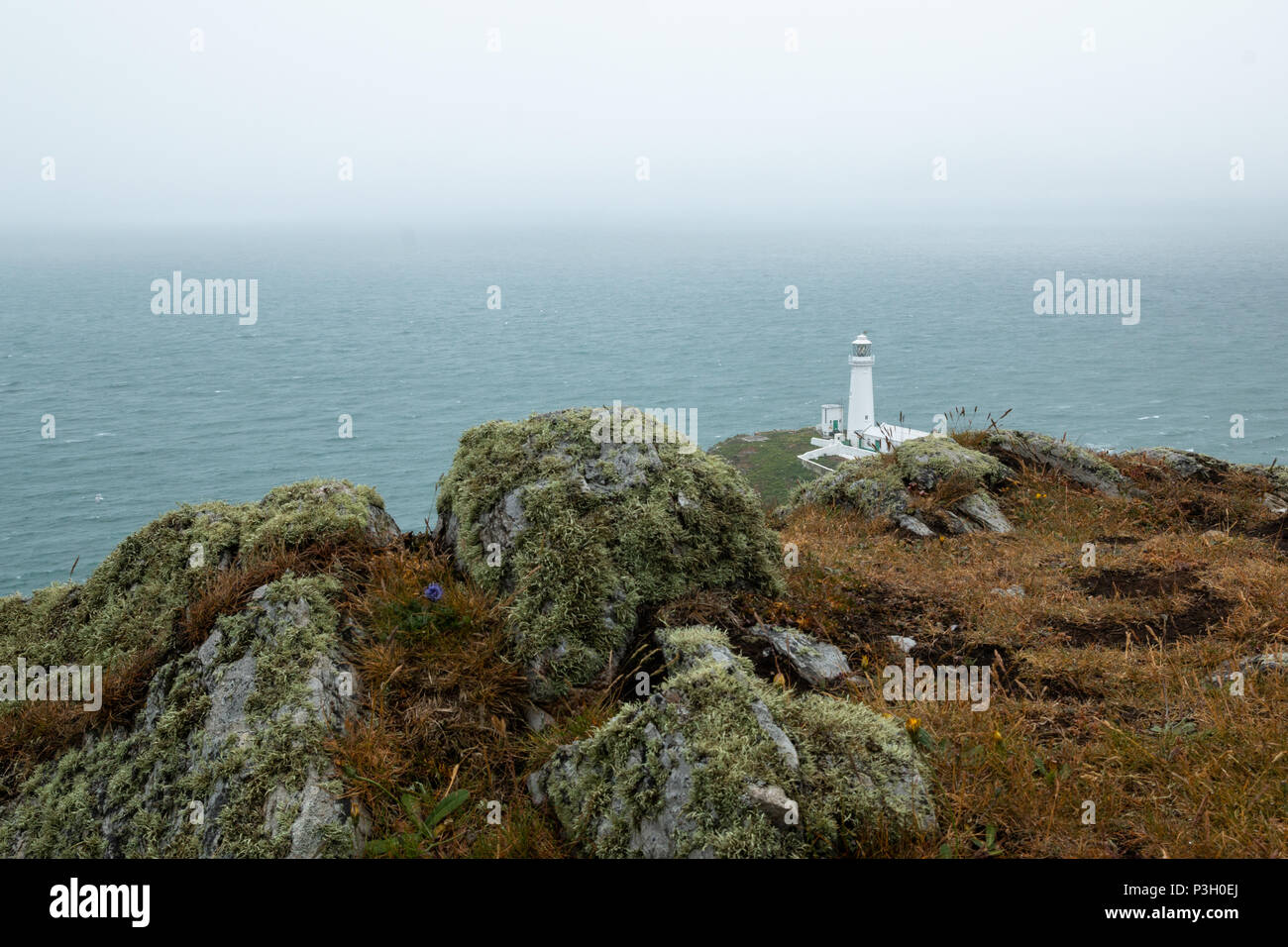 Die historische South Stack Leuchtturm auf einer kleinen Insel über ein Gefälle von 400 Schritten den steilen Klippen erreicht Festland entfernt. South Stack Rock l Stockfoto