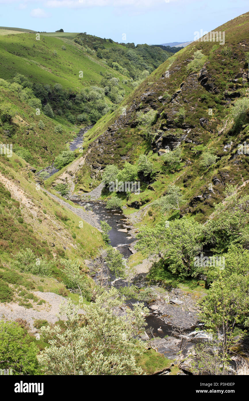 Afon Aled fließt durch eine V-förmige Schlucht auf die Bezirke Denbighshire Mauren, Wales Stockfoto