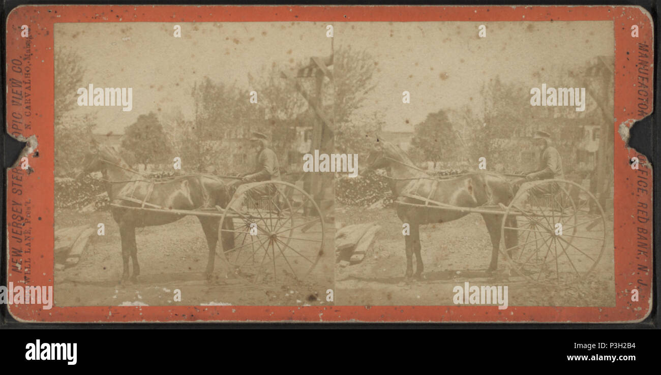 . Schwarz Holländer in seine Karre. Abdeckung: 1860?-1920?. Digitale Element veröffentlicht 2-16-2006; 2-11-2009 aktualisiert. 37 Schwarz Holländer in seine Karre, von Robert N. Dennis Sammlung von stereoskopische Ansichten Stockfoto
