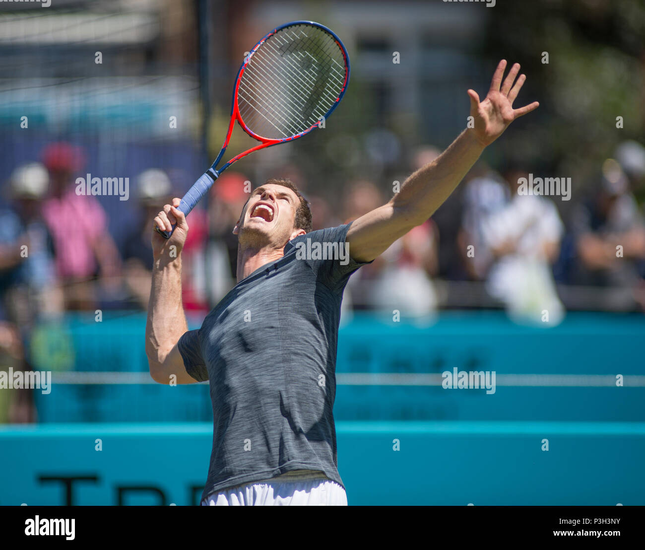 Die Queen's Club, London, Großbritannien. 18 Juni, 2018. Andy Murray (GBR) an einem Nachmittag Training am Tag 1 Der grass Court Tennis Meisterschaften, ein Vorspiel zu Wimbledon. Credit: Malcolm Park/Alamy Leben Nachrichten. Stockfoto