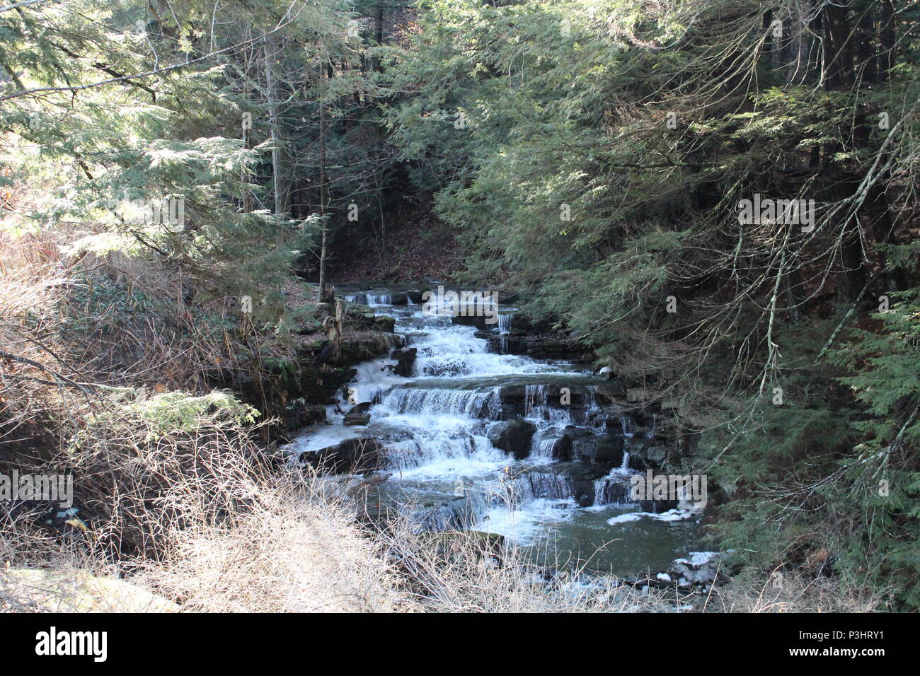 Dies ist abgesehen von Whiskey Creek, fließt durch Corning NY und Caton NY Stockfoto