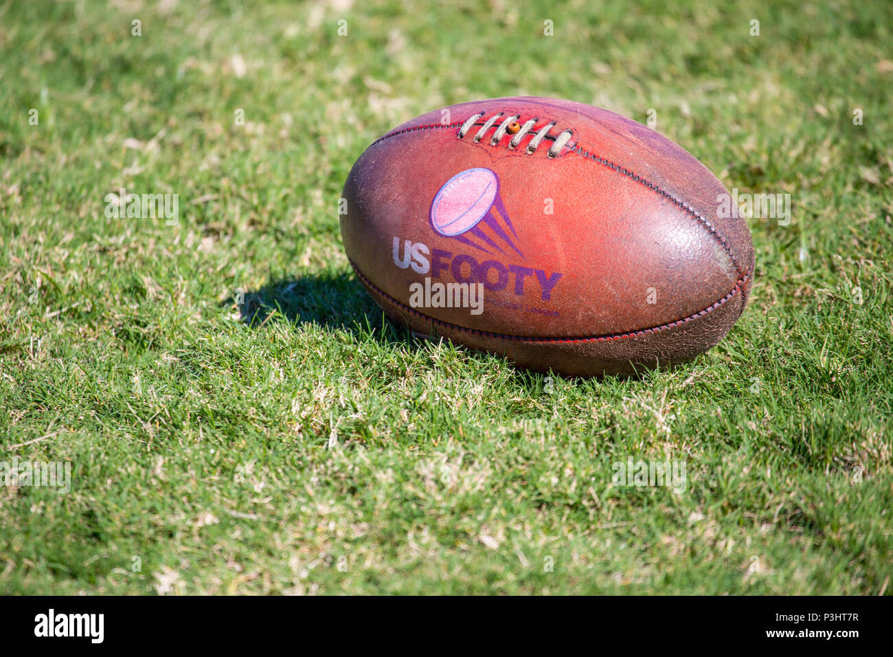 Usafl meisterschaft Fotos und Bildmaterial in hoher Auflösung Alamy