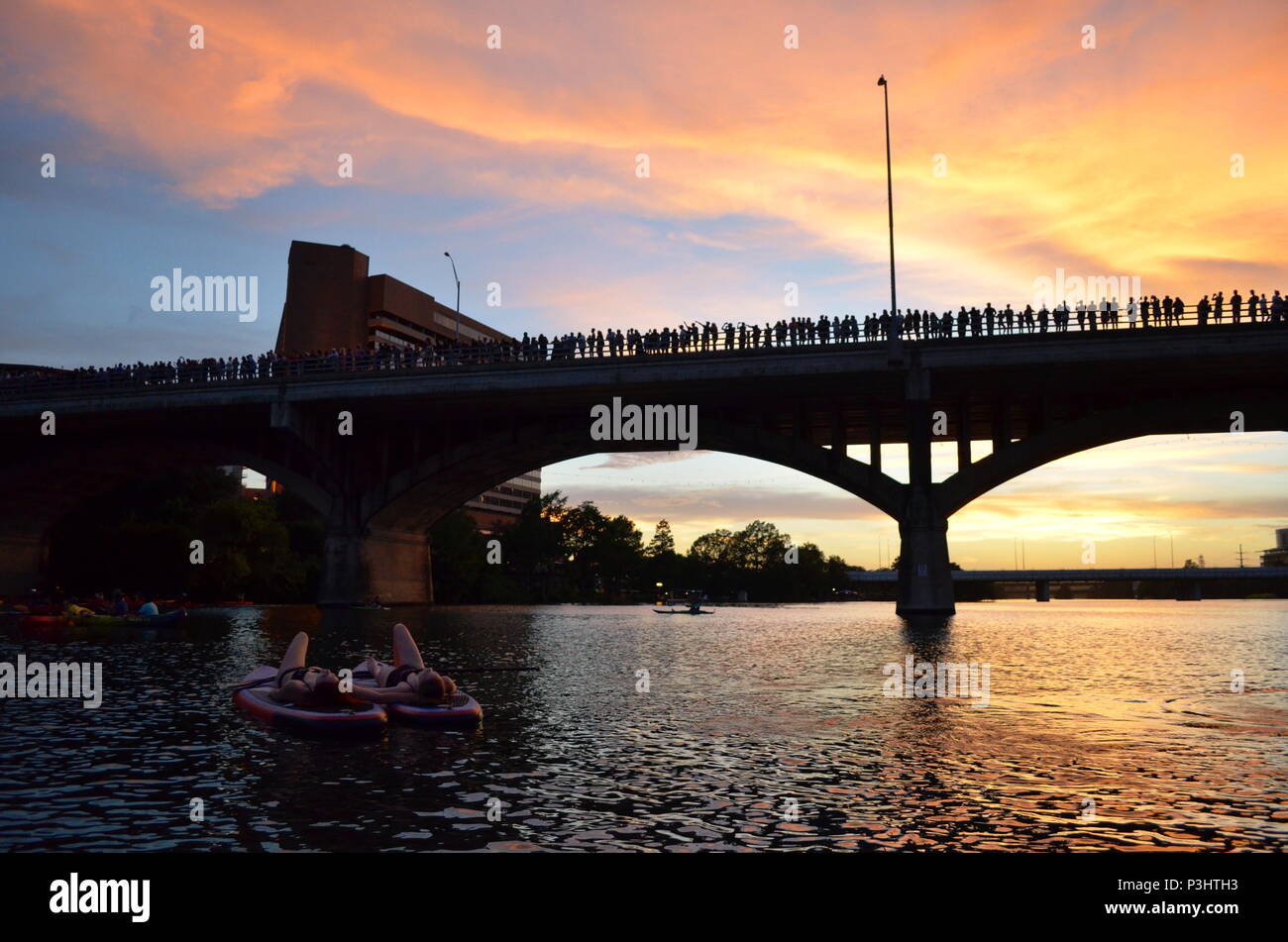 Zwei Mädchen Paddle Boarding am Abend die der Kongress Ave Fledermäuse zu beobachten ein Marienkäfer See in Austin, Texas. Stockfoto