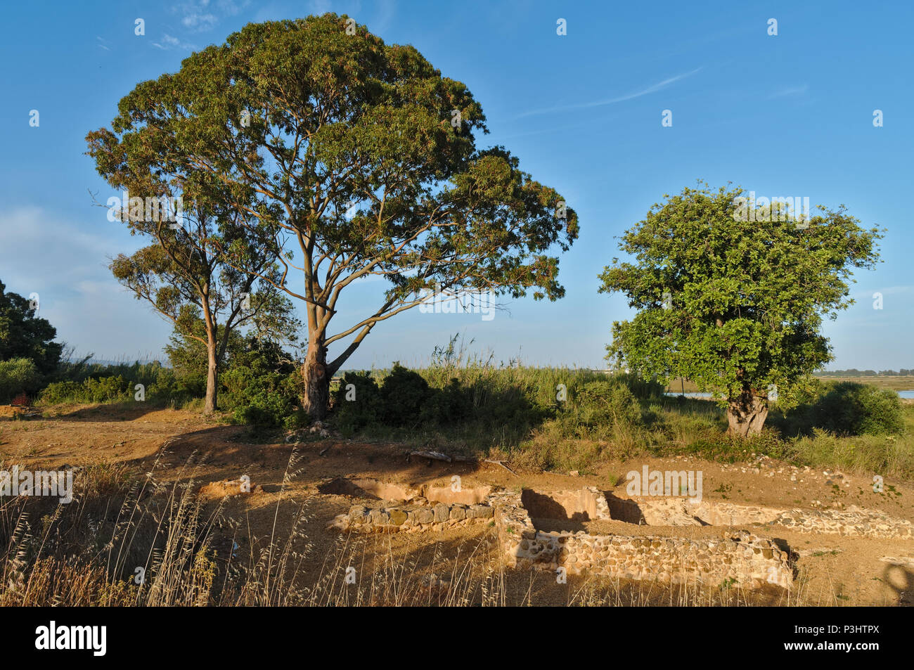 Römische Garum tanks Ruinen in Quinta do Lago. Algarve, Portugal Stockfoto