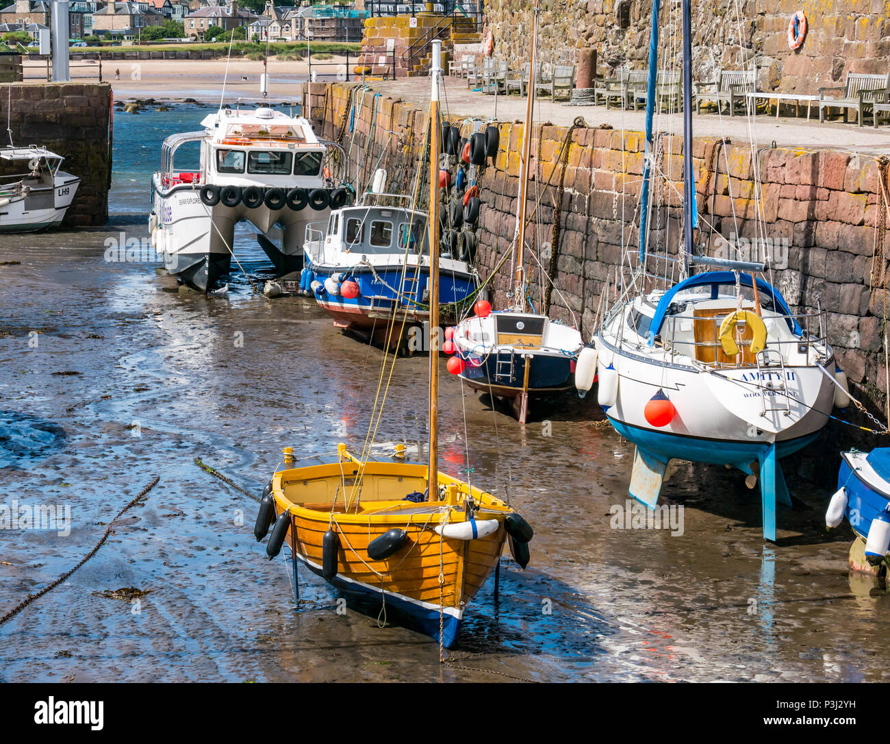 Hölzerne Segelboot und andere Boote in Schlamm bei Ebbe, mit seafari Explorer Katamaran, North Berwick Hafen, East Lothian, Schottland, Großbritannien Stockfoto