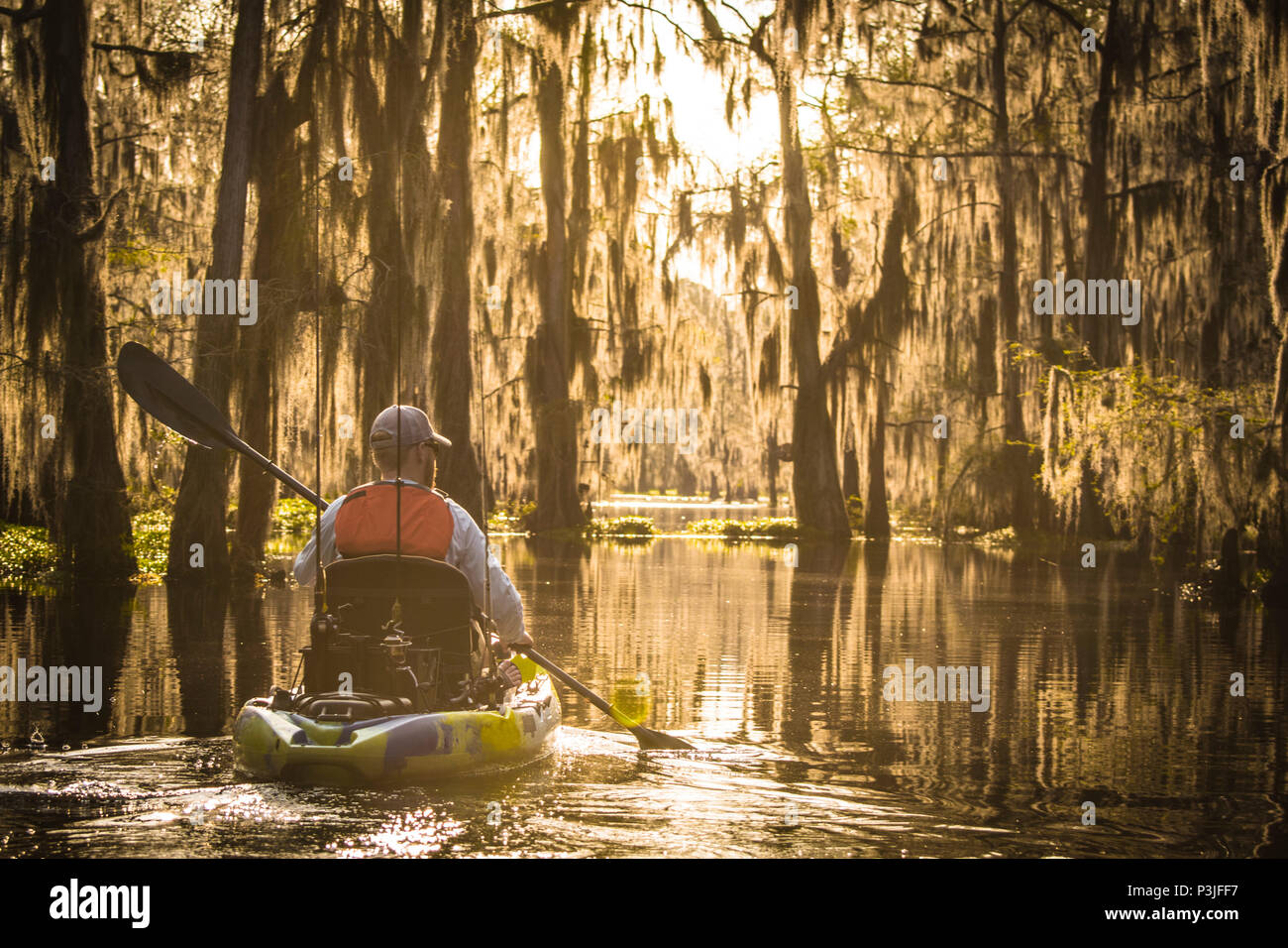 Mitte der erwachsene Mann Paddeln im Kajak, Caddo Lake, Texas, USA Stockfoto