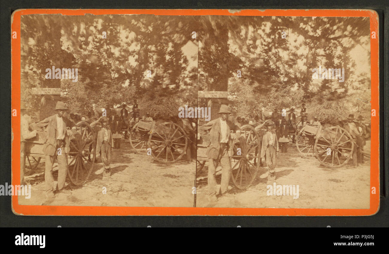 372 Warten auf den Fotografen, von Robert N. Dennis Sammlung von stereoskopische Ansichten Stockfoto