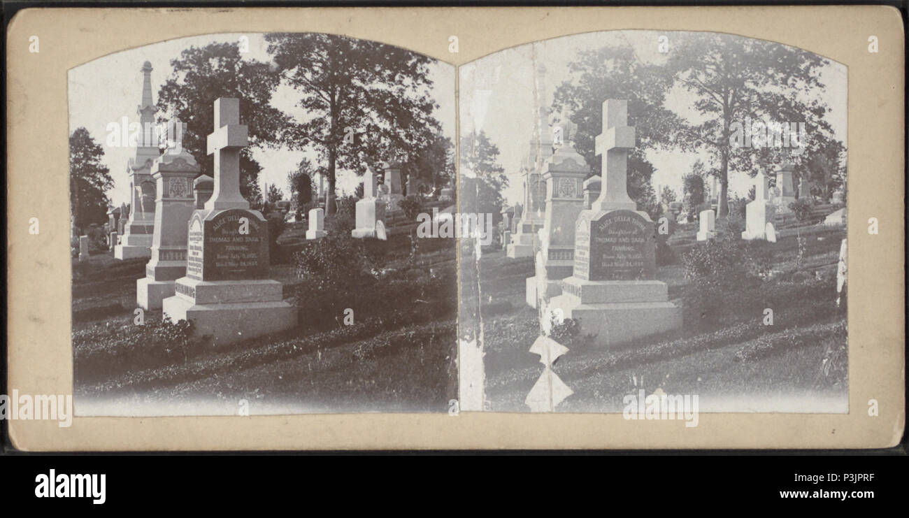 385 Woodlawn Friedhof, von James G. Sperren Stockfoto