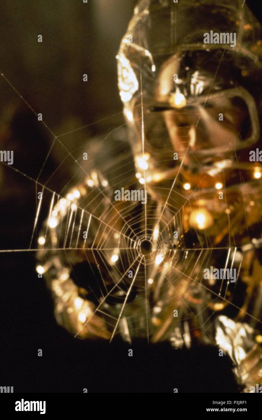 Original Film Titel: Twelve Monkeys. Englischer Titel: Twelve Monkeys. Regisseur: TERRY GILLIAM. Jahr: 1995. Credit: TRISTAR BILDER / Album Stockfoto