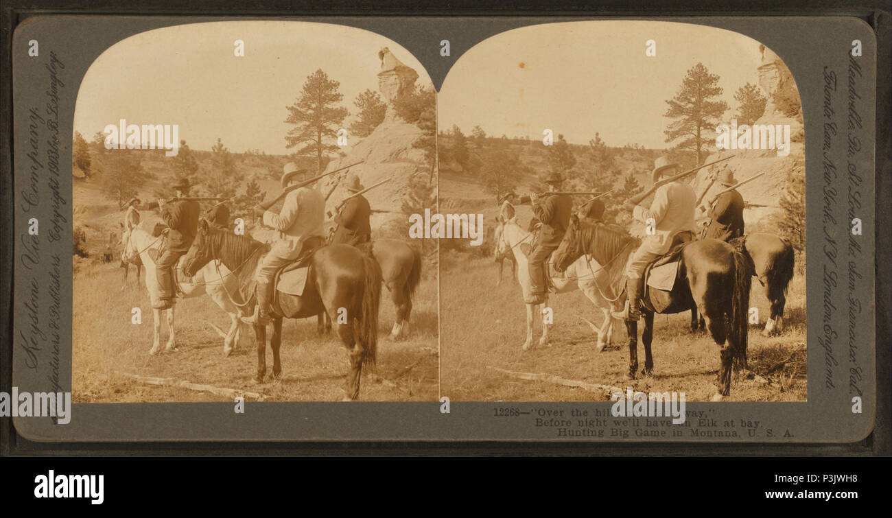 5 "Over The Hills And Far Away", bevor die Nacht wir ein Elch an der Bucht, Jagd big game in Montana, USA, von Keystone View Company haben Stockfoto