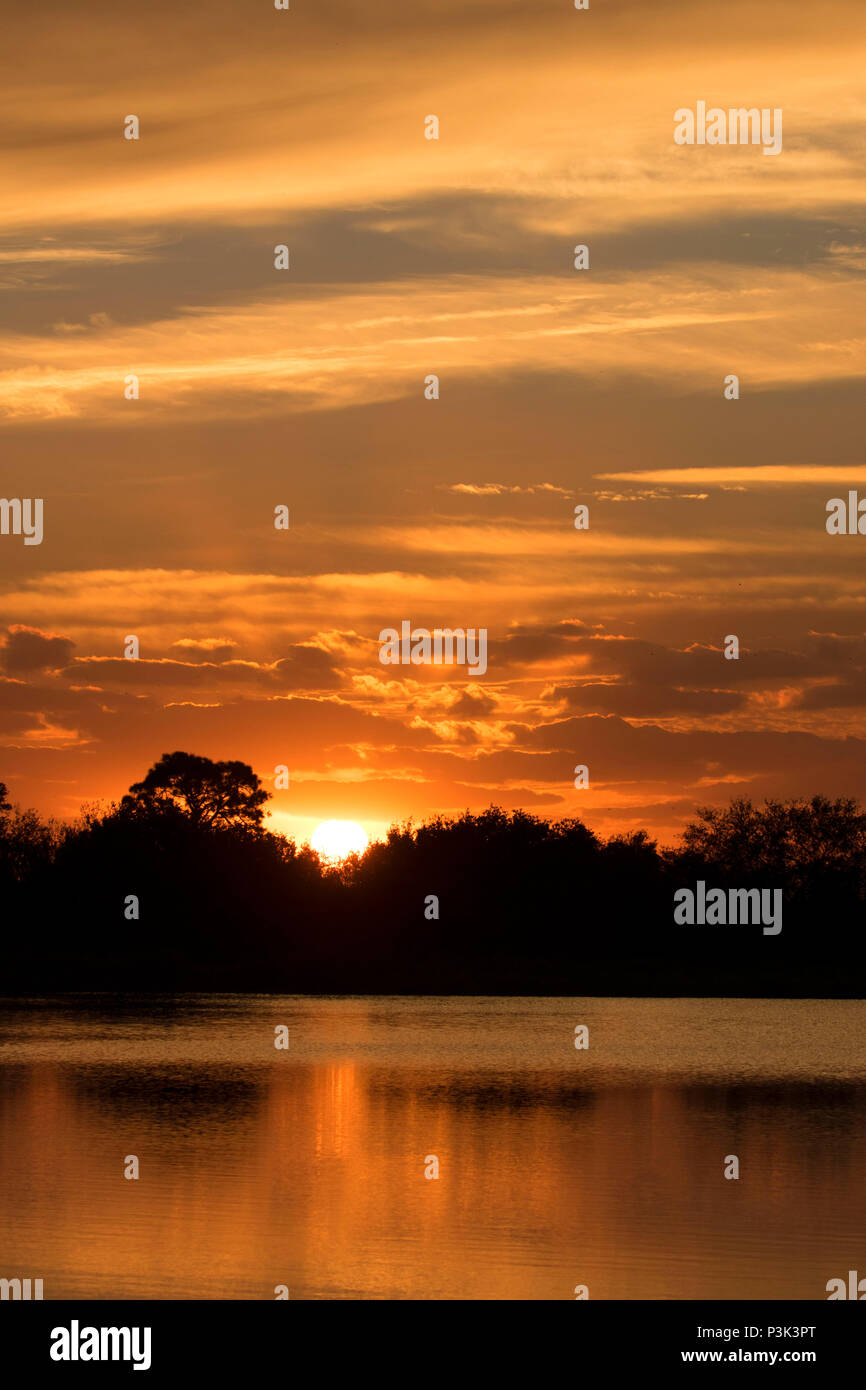 Teich sunrise, Indian River County Feuchtgebiete, Vero Beach, Florida Stockfoto