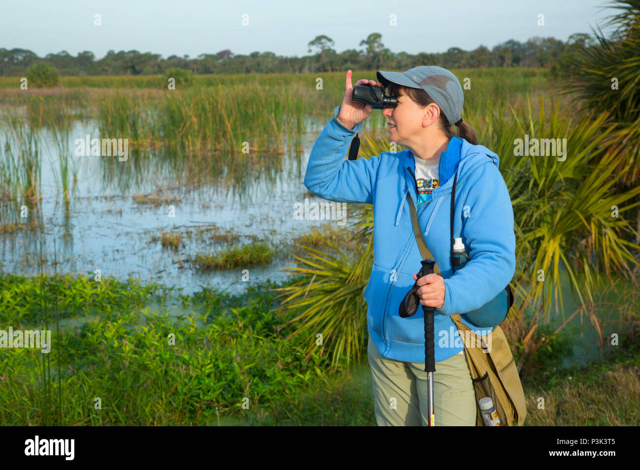 Birding, Indian River County Feuchtgebiete, Vero Beach, Florida Stockfoto