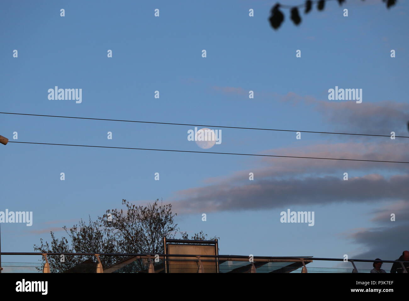 Vollmond, symmetrisch zwischen den Zeilen! Stockfoto