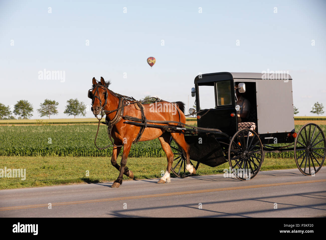 Mit dem Heißluftballon über Amish buggy, Lancaster County, Pennsylvania, USA Stockfoto