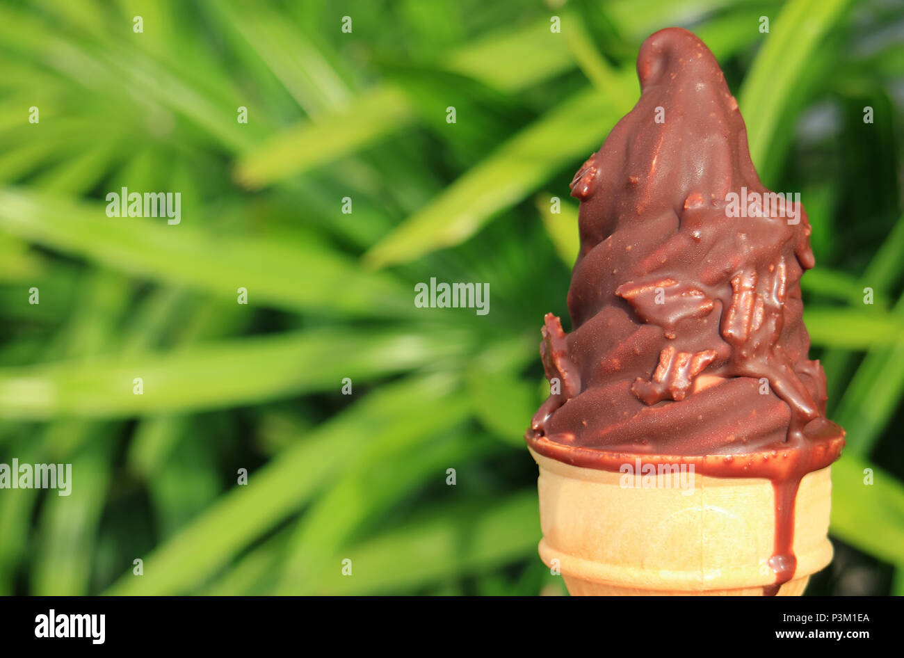 Schmelzende Schokolade getauchte Softeis Kegel mit unscharfen Green Bush im Hintergrund Stockfoto