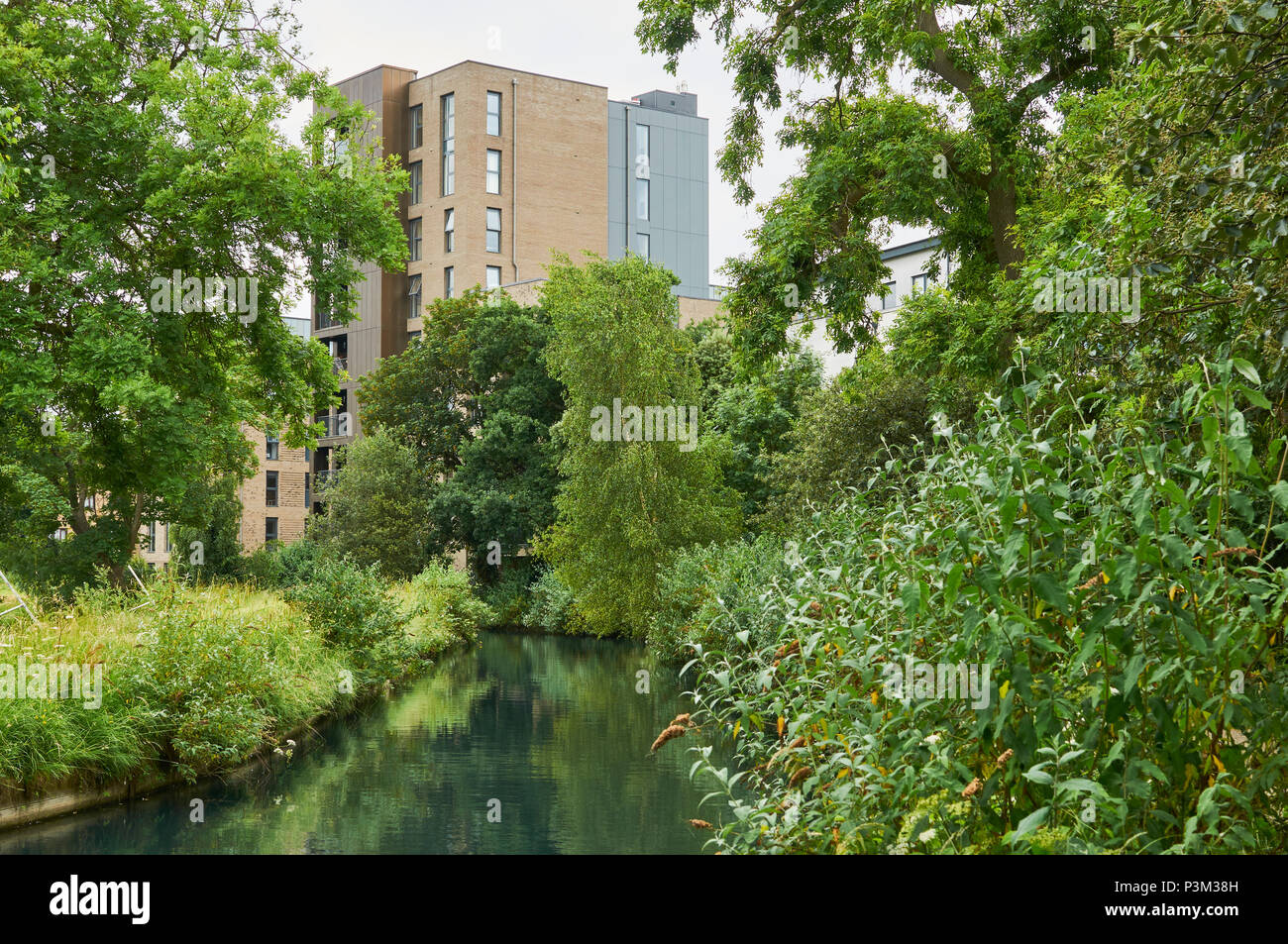 Die neuen Fluss att West Resrvoir, in der Nähe von Finsbury Park, London, UK, mit neuen Apartment Gebäude im Hintergrund Stockfoto
