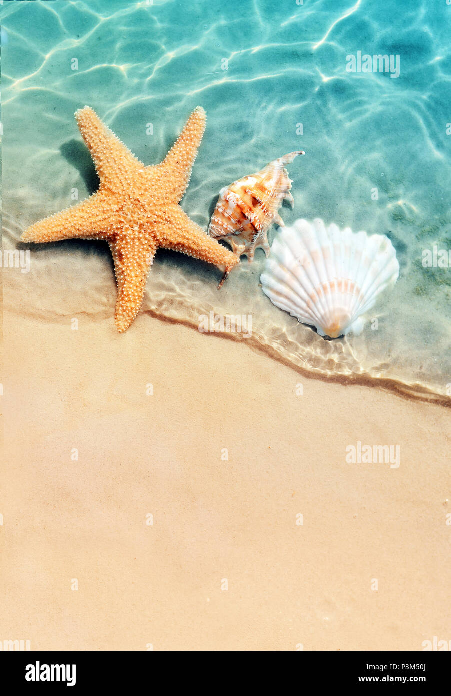 Download Hintergrund sommer bilder strand Free HD