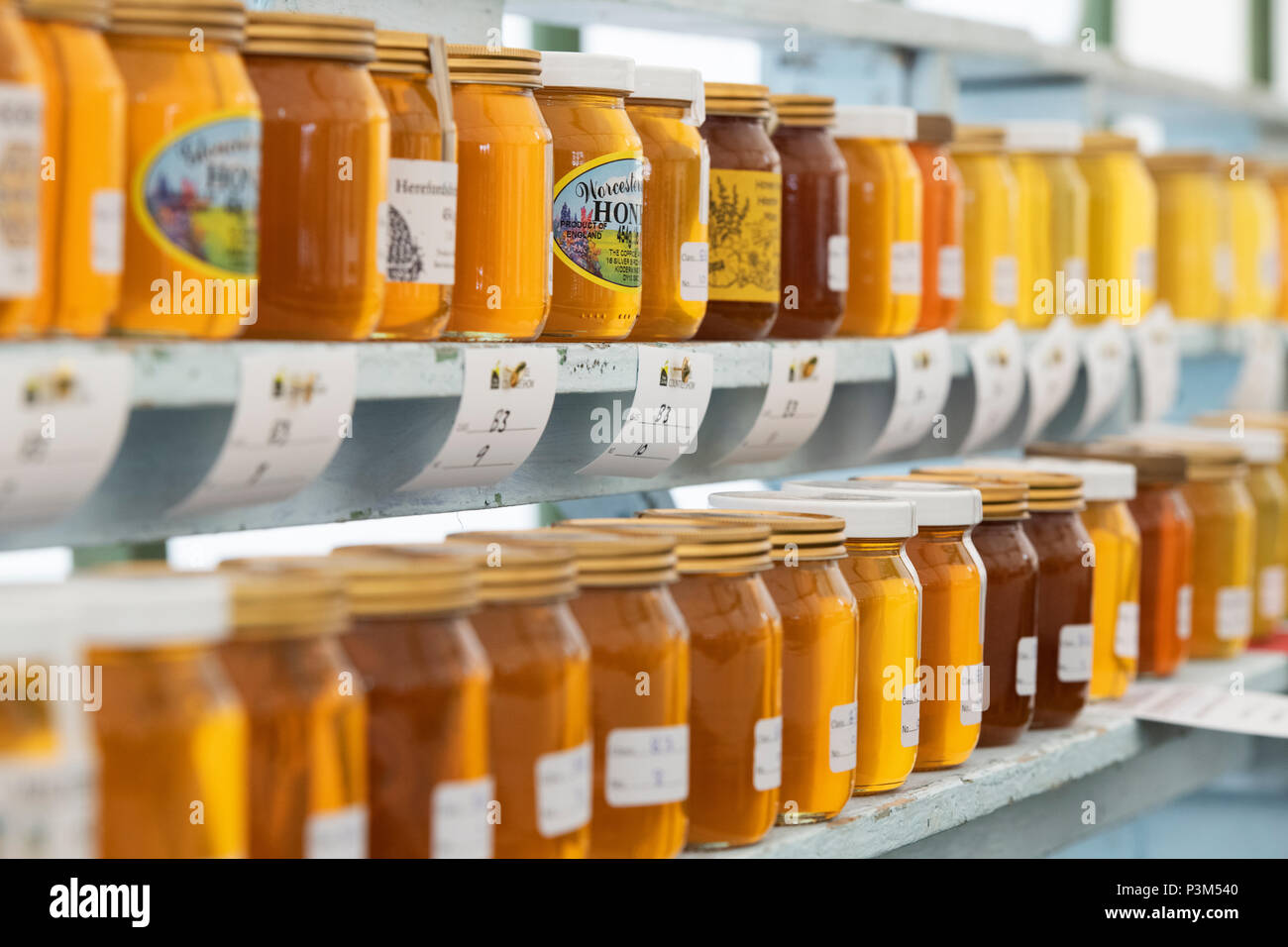 Gläser Honig und Landwirtschaft zeigen beurteilt werden. Großbritannien Stockfoto