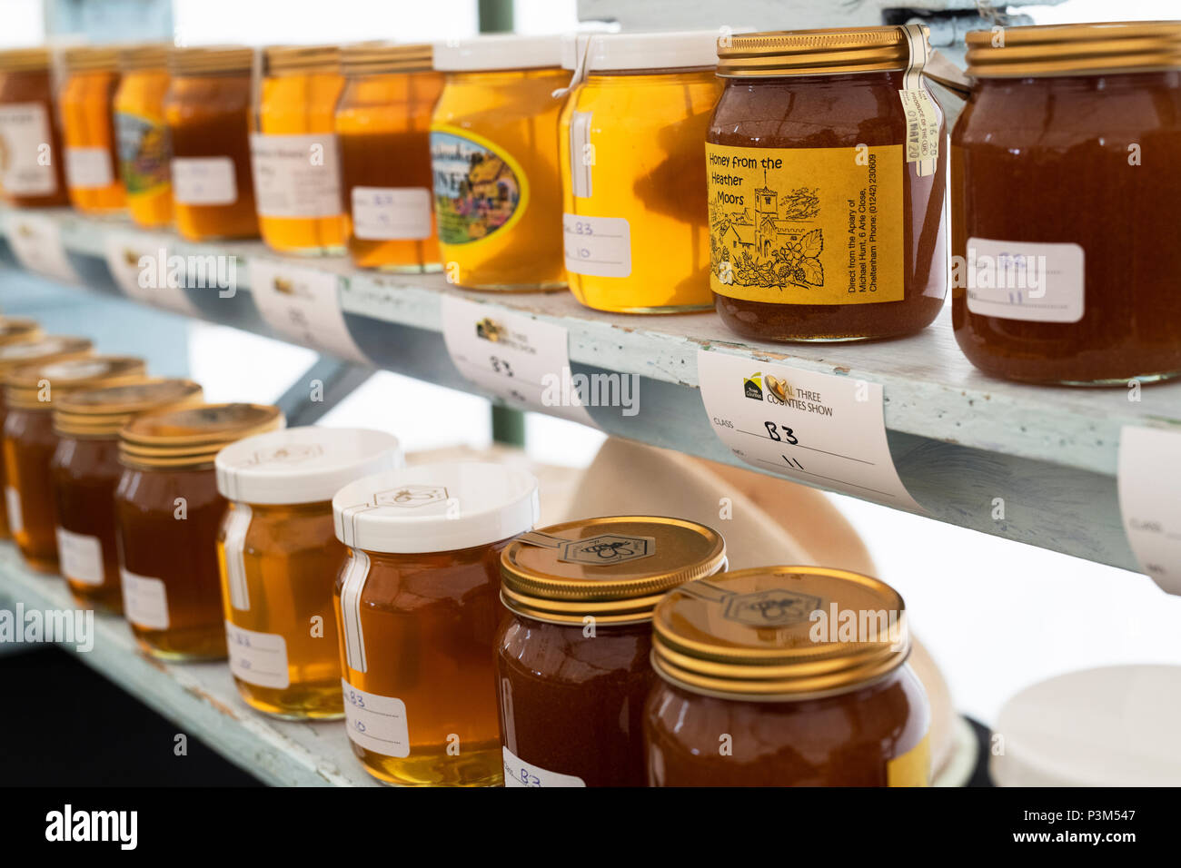 Gläser Honig und Landwirtschaft zeigen beurteilt werden. Großbritannien Stockfoto