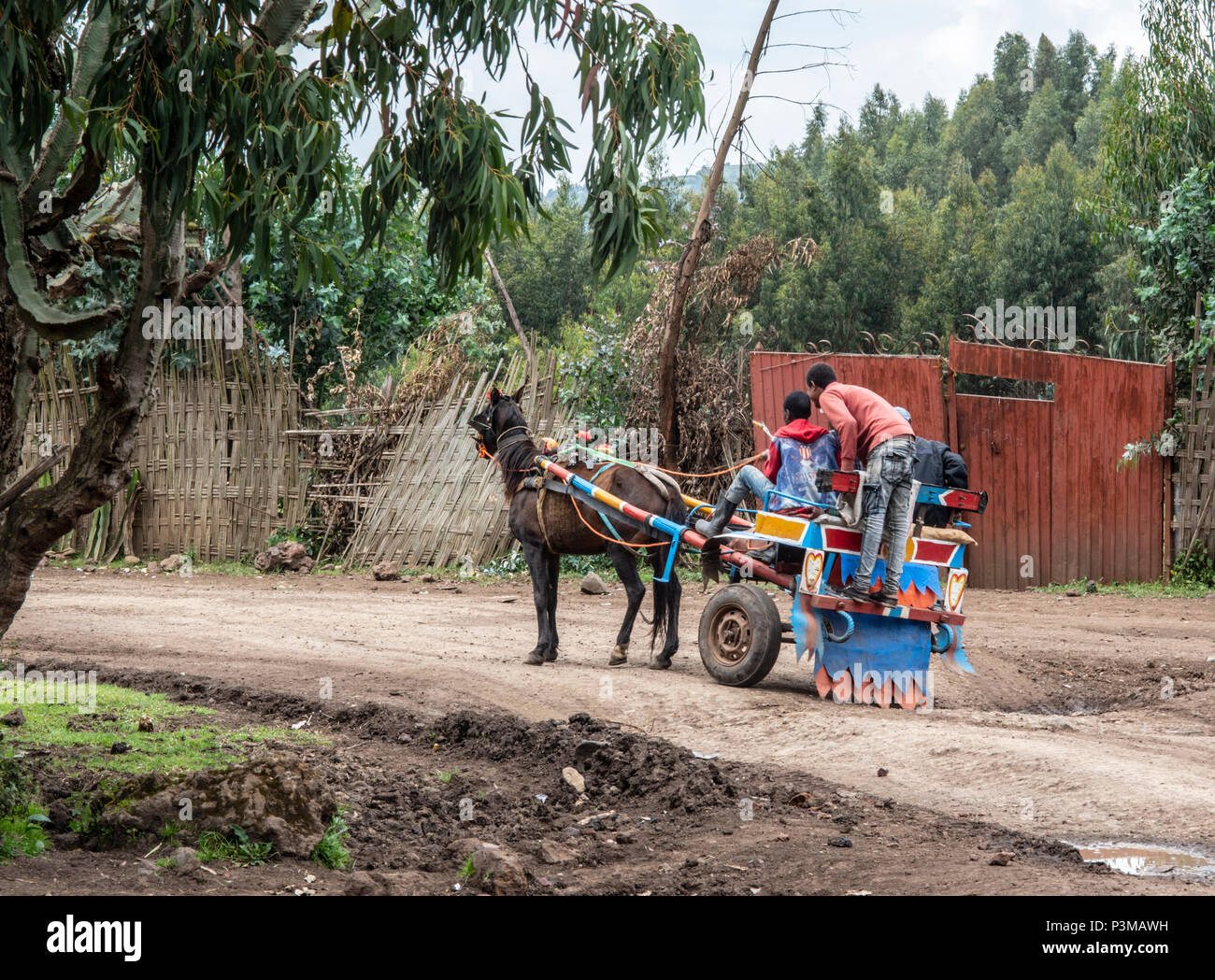 Jungen, der eine von Pferden gezogene Wagen in Robe, Äthiopien Stockfoto