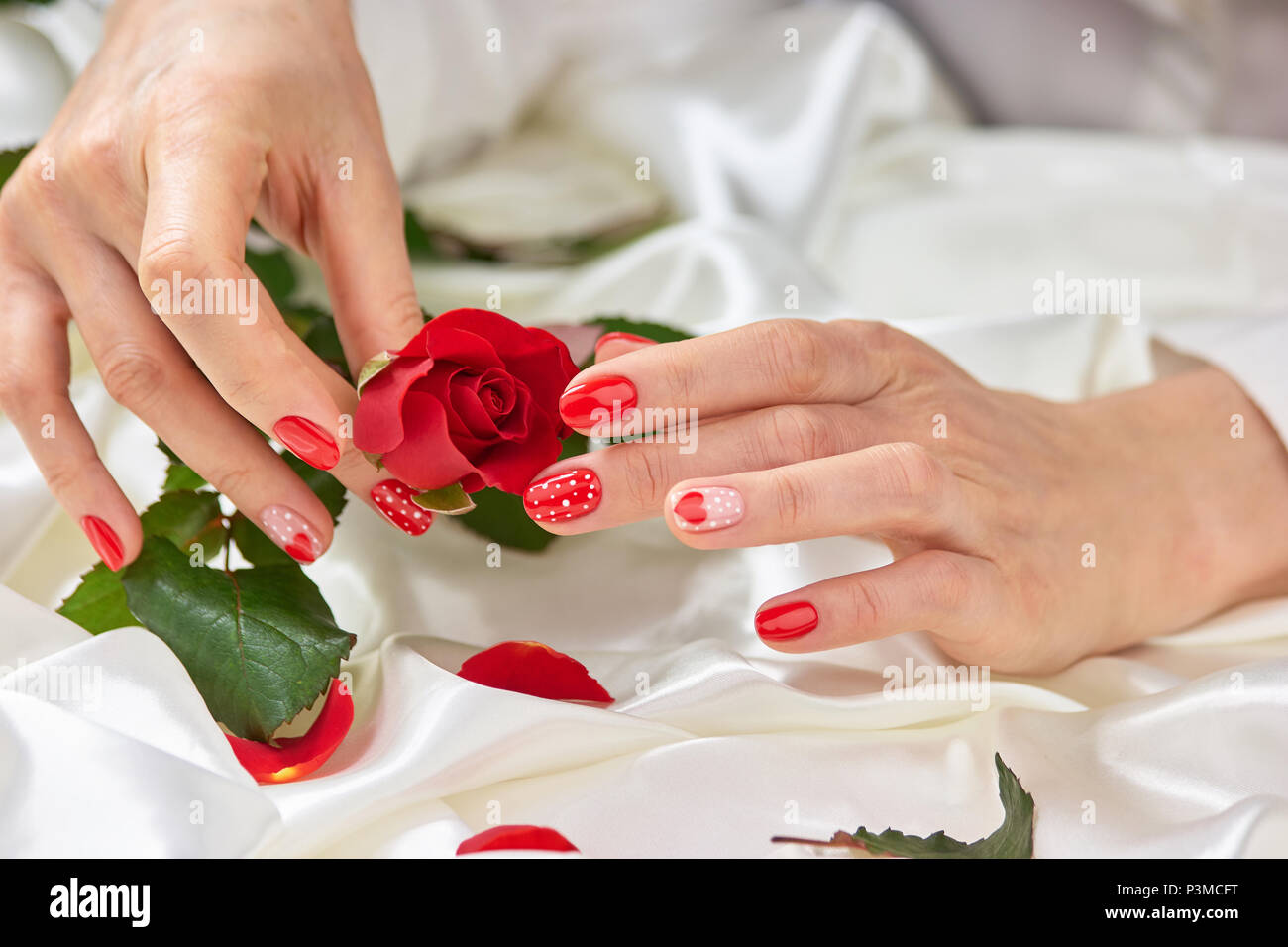 Gepflegte womans Hände mit Rose. Stockfoto