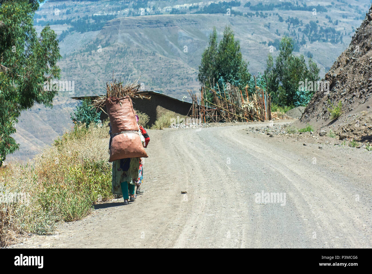 Eine Frau trägt Brennholz auf dem Rücken am Stadtrand von Lalibela. Stockfoto