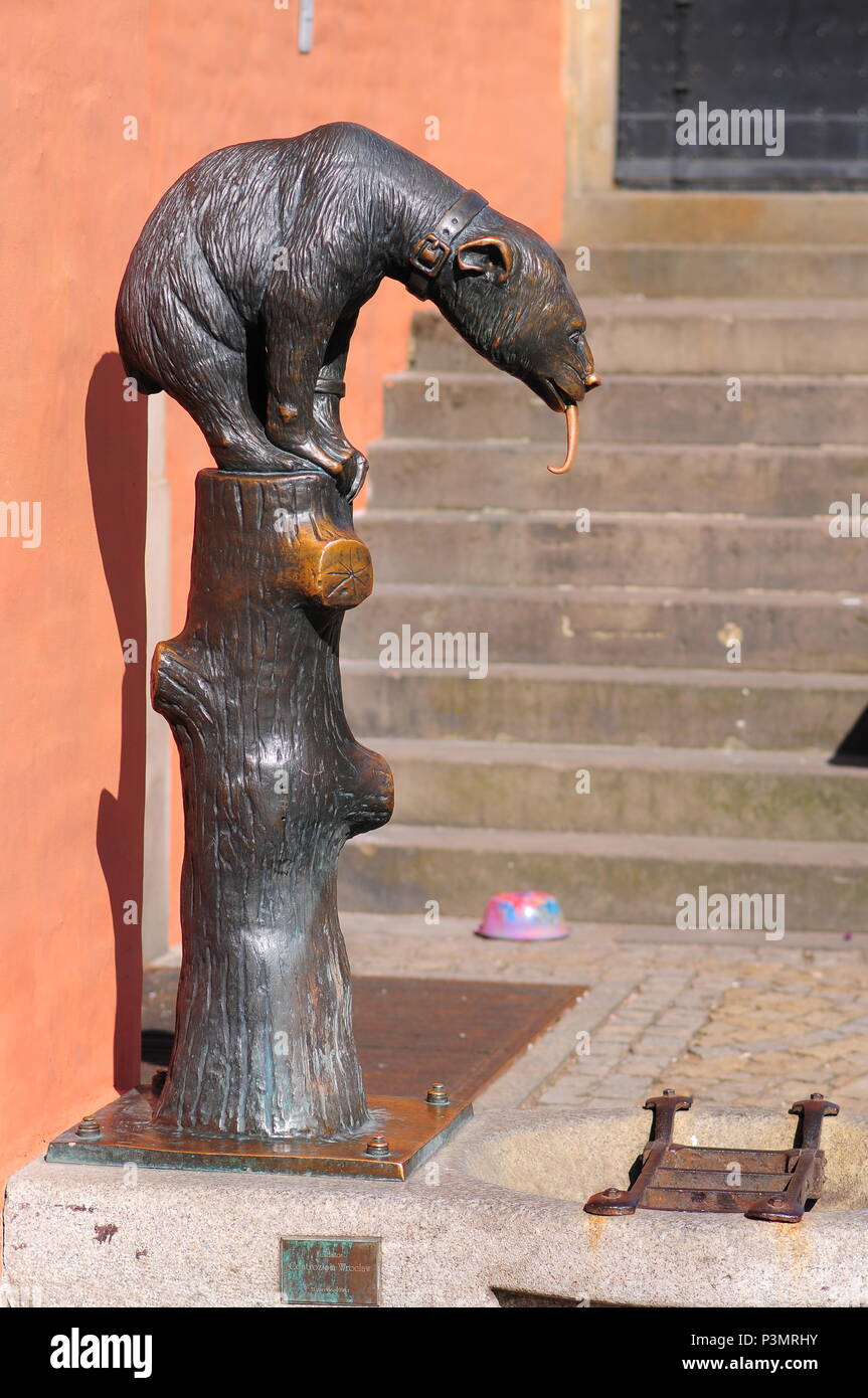 Bronze Brunnen, das eine sun bear auf einem Baumstamm am Marktplatz von Breslau, Niederschlesien, Polen, Europa Stockfoto
