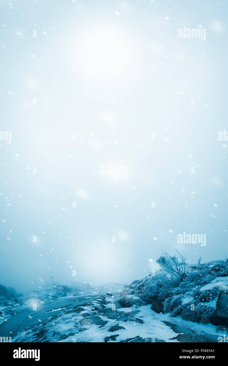 Verschneite Winterlandschaft Stockfoto