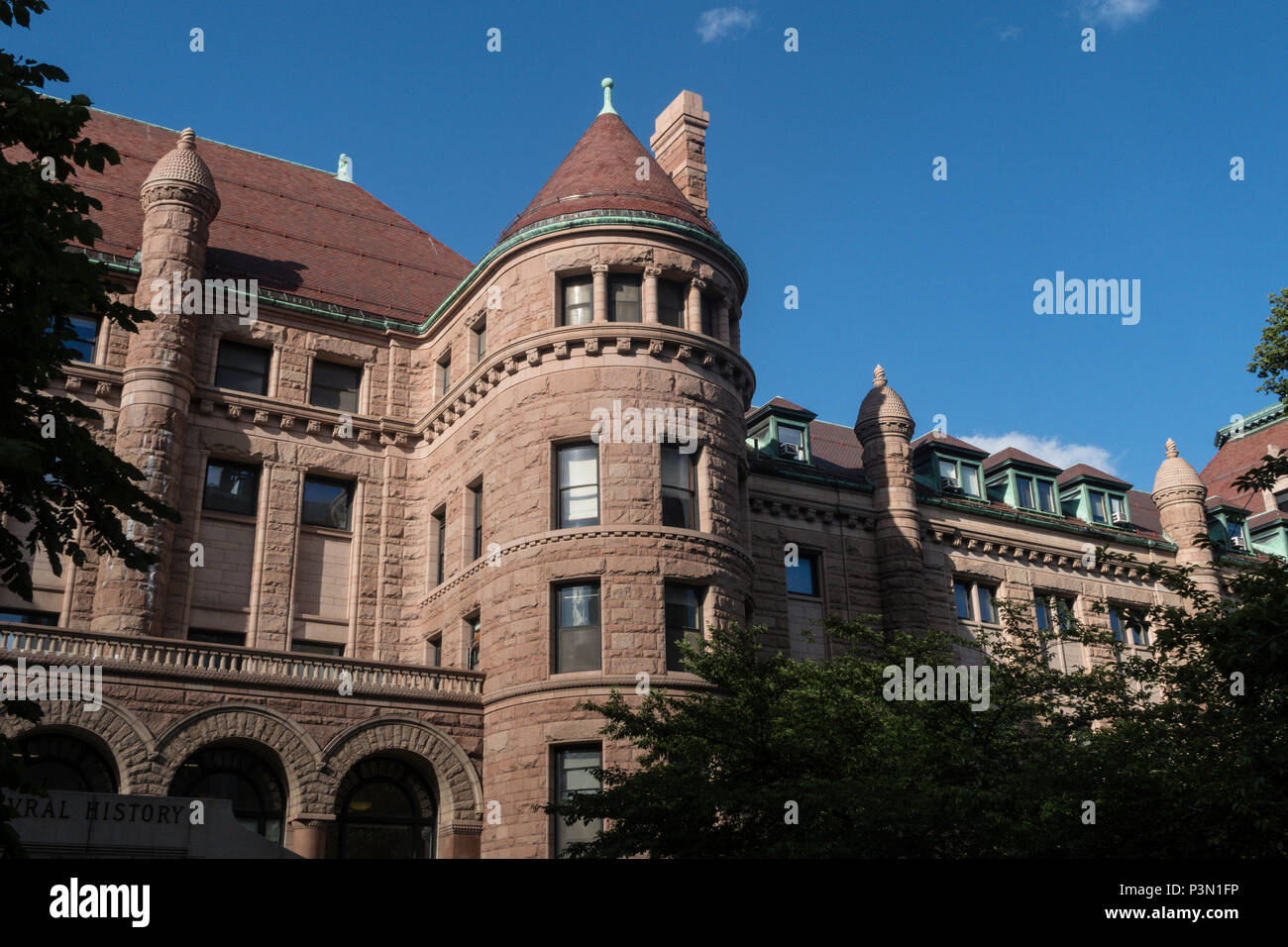 American Museum of Natural History, New York, USA Stockfoto