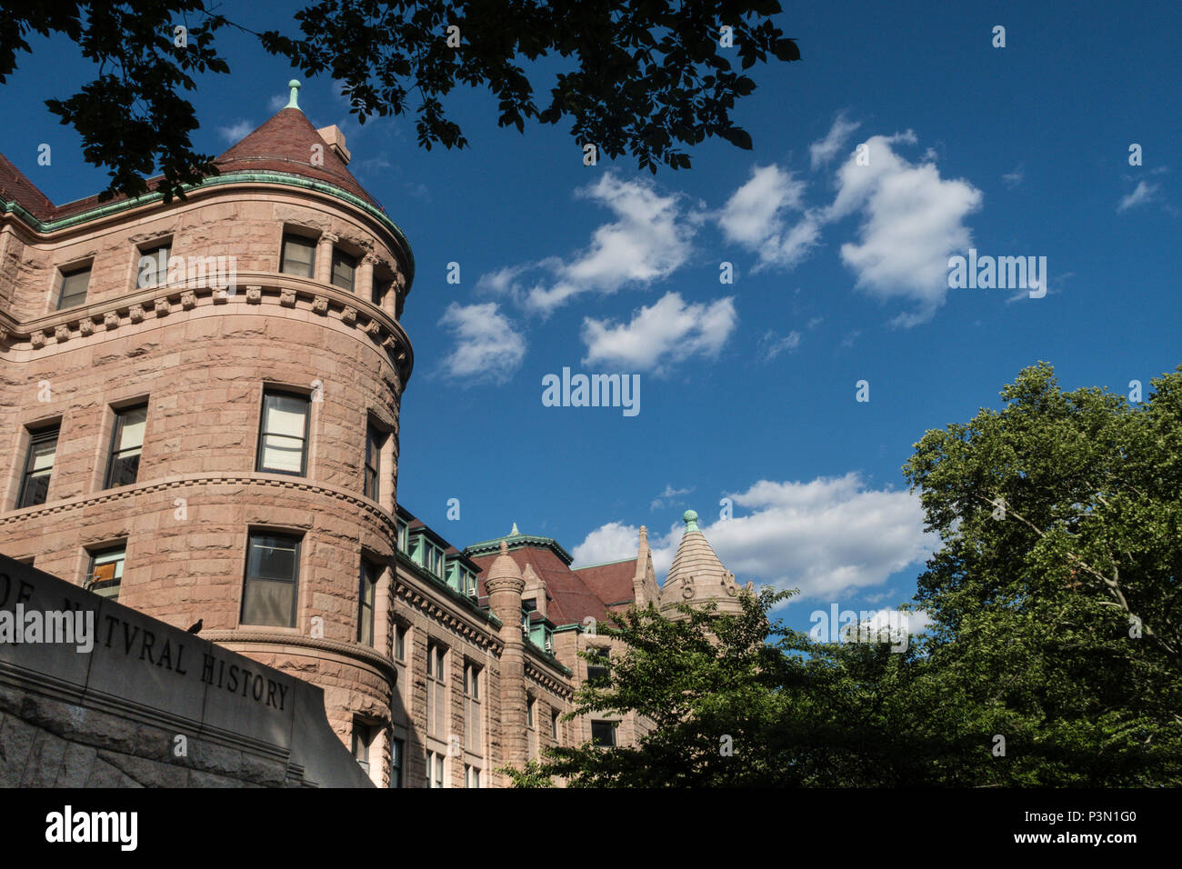 American Museum of Natural History, New York, USA Stockfoto
