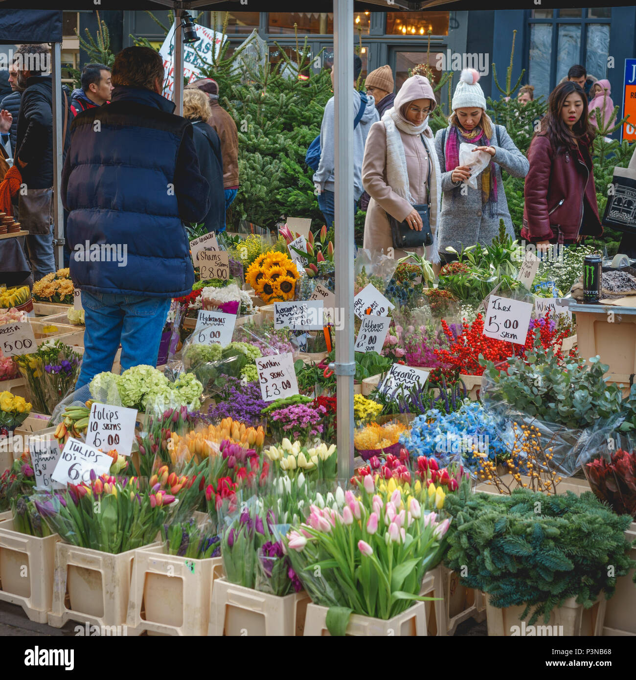 Notting Hill Garten Stockfotos Und Bilder Kaufen Alamy