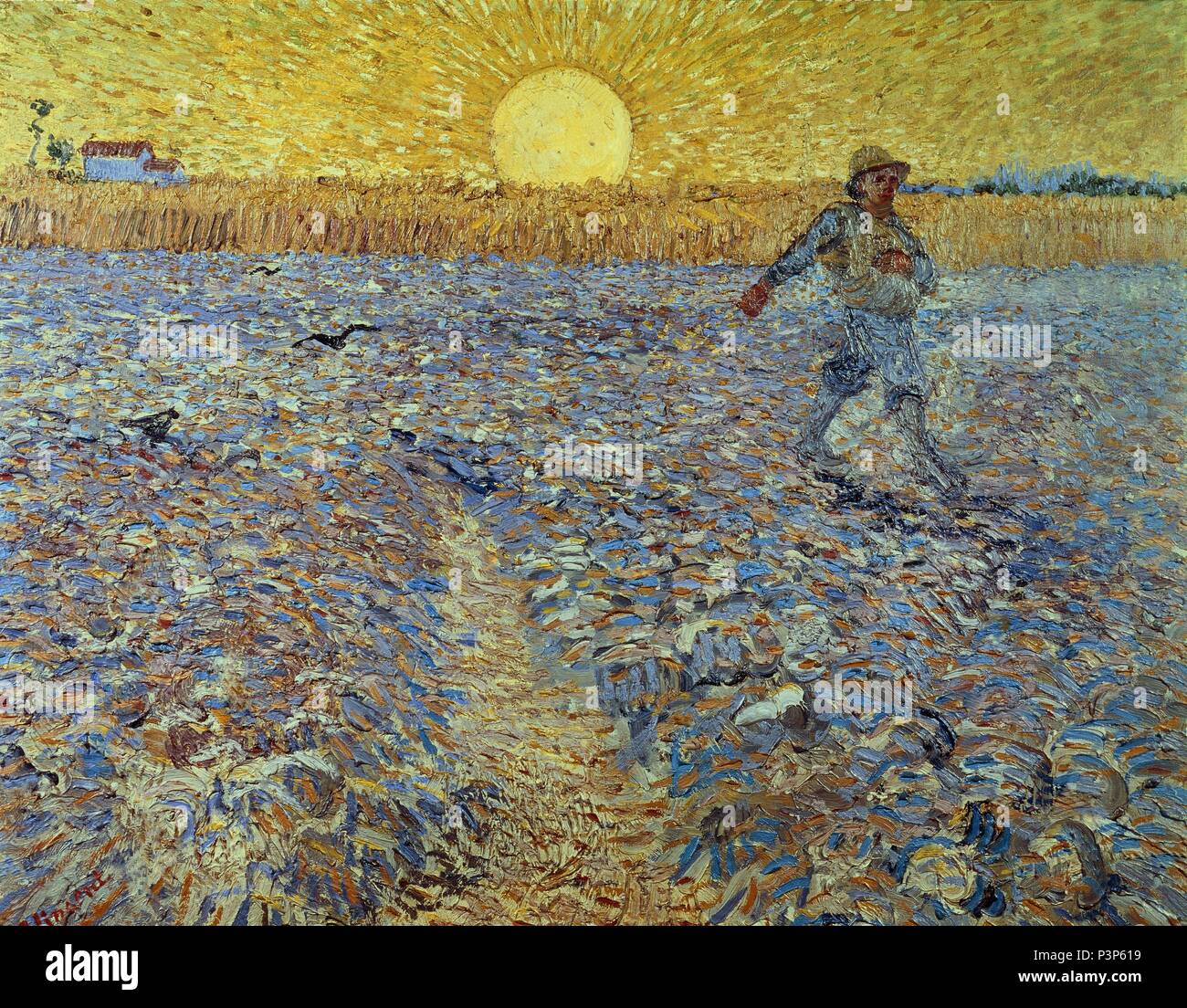 Niederländische Schule. Sämann mit Setting Sun 1888. Öl auf Leinwand (64 x 80,5 cm). Rijksmuseum Kröller-Müller, Otterlo. Autor: Vincent van Gogh (1853-1890). Lage: MUSEO KROLLER-MULLER, OTTERLO, HOLANDA. Stockfoto