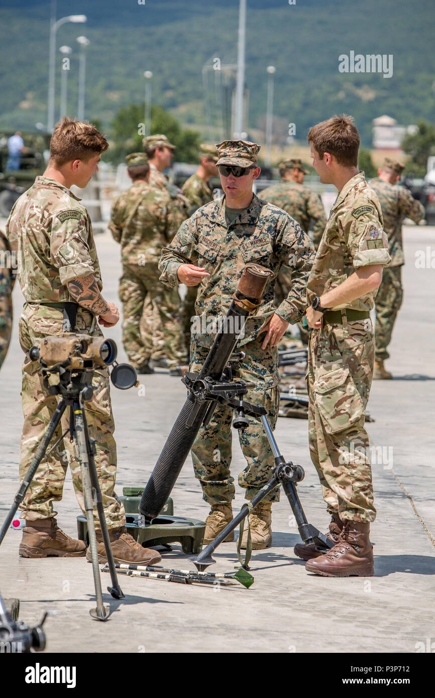 Us Marine Corps Cpl. Jarrod S. Haschert, ein mortarman und Royal Marine Commandos vergleichen ihre Mörser Systeme während der Übung Platin Lion16-4 an Bord Novo Selo, Bulgarien, 11. Juli 2016. Dieser multinationalen Übung vereint acht NATO- und Partnerstaaten für eine Live-fire Übung sollen regionale Verteidigung zu stärken. (U.S. Marine Corps Foto von Cpl. Kelly L. Straße, 2 D MARDIV COMCAM/Freigegeben) Stockfoto