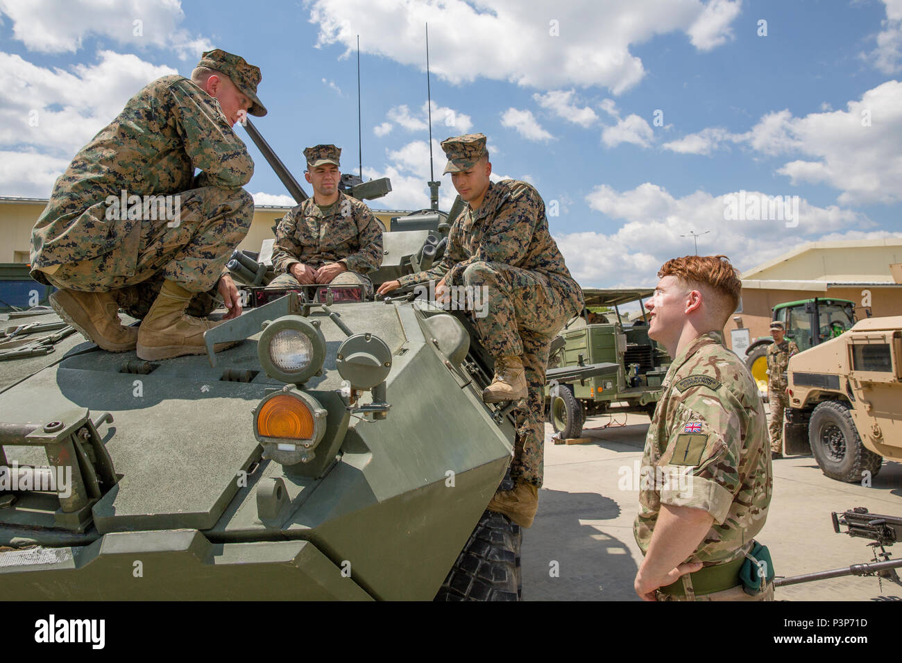 Us-Marines mit Schwarzen Meer Drehkraft teilen ihr Wissen über die US Marine Corps Leichte gepanzerte Fahrzeuge mit einer Britischen Royal Marine Commandos während der Übung Platin Lion16-4 an Bord Novo Selo, Bulgarien, 11. Juli 2016. Dieser multinationalen Übung vereint acht NATO- und Partnerstaaten für eine Live-fire Übung sollen regionale Verteidigung zu stärken. (U.S. Marine Corps Foto von Cpl. Kelly L. Straße, 2 D MARDIV COMCAM/Freigegeben) Stockfoto