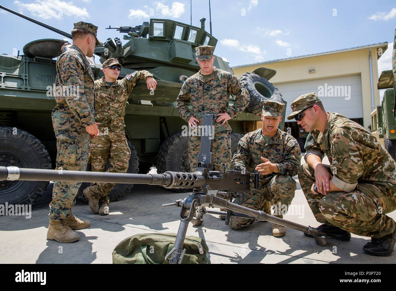 Usa, NATO- und Partnerstaaten teilnehmen in einer statischen Anzeige aus Fahrzeugen, Artillerie- und Kenntnisse über Funktionen gemeinsam nutzen und Partnerschaft während der Übung Platin Lion16-4 an Bord Novo Selo, Bulgarien, 11. Juli 2016. Dieser multinationalen Übung vereint acht NATO- und Partnerstaaten für eine Live-fire Übung sollen regionale Verteidigung zu stärken. (U.S. Marine Corps Foto von Cpl. Kelly L. Straße, 2 D MARDIV COMCAM/Freigegeben) Stockfoto