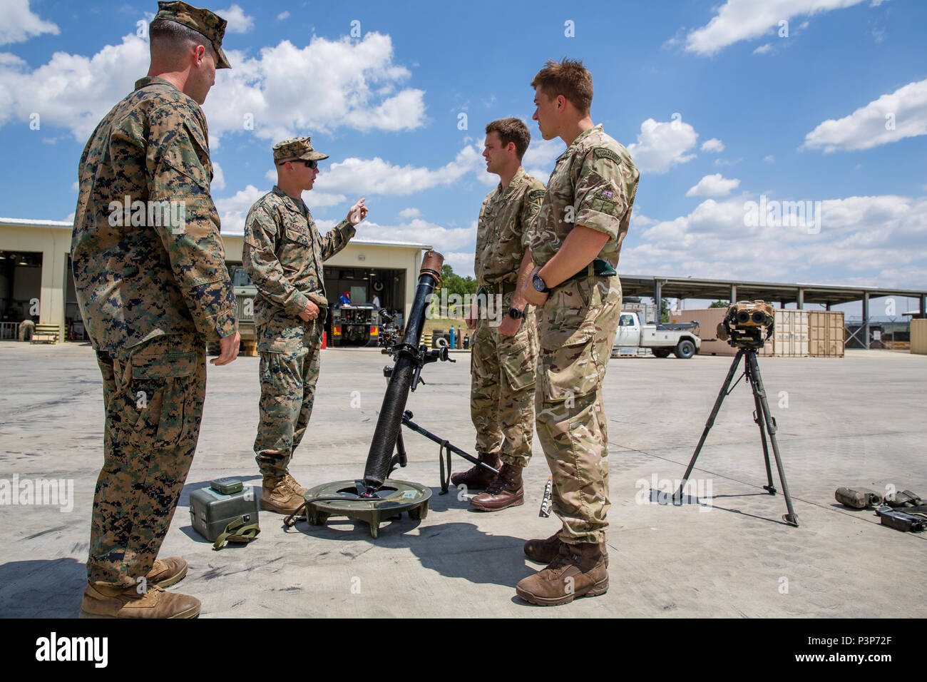 Us-Marines teilen ihre Mörser Funktionen mit der Royal Marine Commandos während der Übung Platin Lion16-4 an Bord Novo Selo, Bulgarien, 11. Juli 2016. Dieser multinationalen Übung vereint acht NATO- und Partnerstaaten für eine Live-fire Übung sollen regionale Verteidigung zu stärken. (U.S. Marine Corps Foto von Cpl. Kelly L. Straße, 2 D MARDIV COMCAM/Freigegeben) Stockfoto