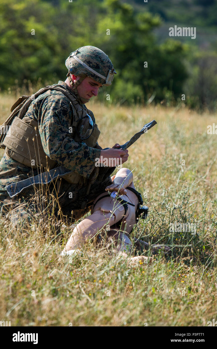 U.S. Navy Petty Officer 3. Klasse Patrick Webster, einem Hospital corpsman mit Schwarzen Meer Drehkraft, bereitet Bein Bruch für eine Unfallversicherung Evakuierungsübung während der Übung Platin Lion16-4 an Bord Novo Selo, Bulgarien, 12. Juli 2016 auf Schiene. Dieser multinationalen Übung vereint acht NATO- und Partnerstaaten für eine Live-fire Übung sollen regionale Verteidigung in Osteuropa zu stärken. (U.S. Marine Corps Foto von Cpl. Kelly L. Straße, 2 D MARDIV COMCAM/Freigegeben) Stockfoto