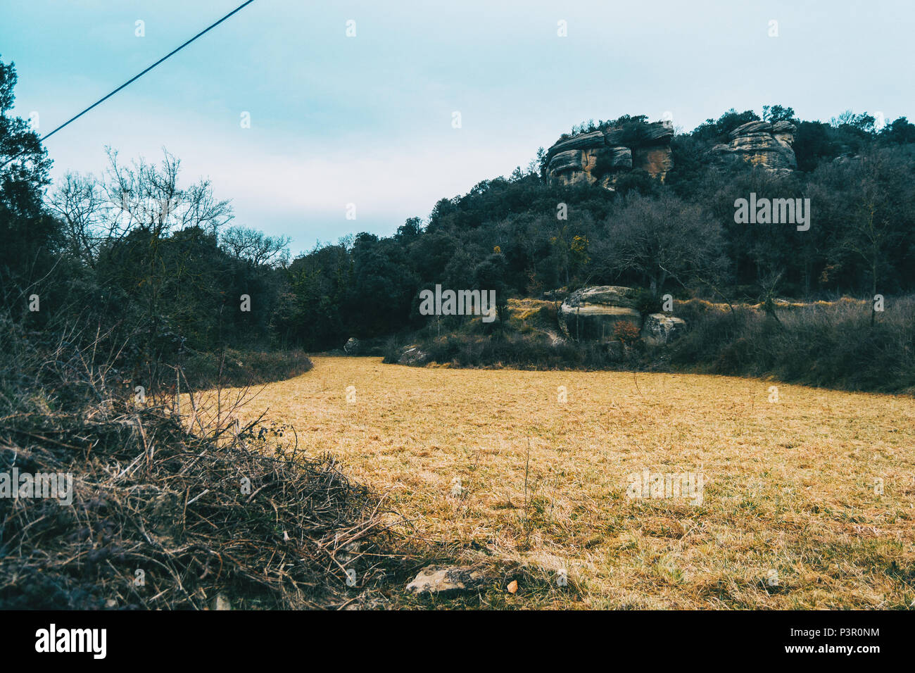 Landschaft von einem gelben Wiese an einem bewölkten Tag mit einem Berg im Hintergrund Stockfoto
