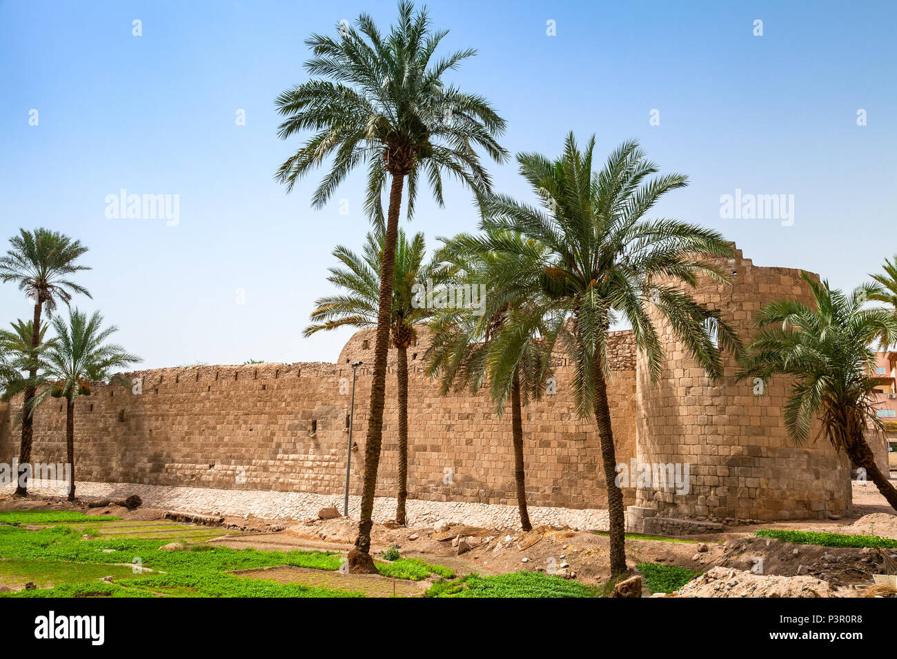 Aqaba Schloss, Mamluk Schloss oder Aqaba Fort in Aqaba, Jordanien Stockfoto