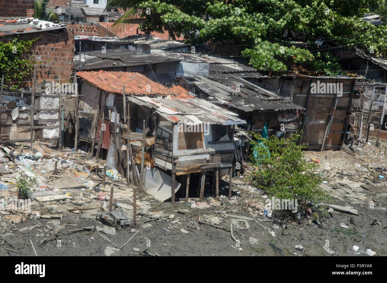 RECIFE, PE - 10.10.2015: PALAFITAS EM COMUNIDADE CARENTE - Palafitas na Favela tun Coque, wie margens rio Capibaribe tun. (Foto: Diego Herculano/Fotoarena) Stockfoto