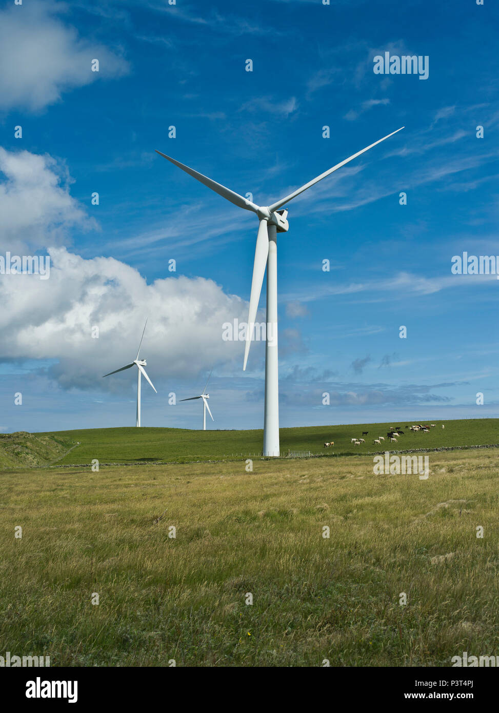 dh Orkney Windturbine RENEWABLES UK Scottish Windparks drei Windturbinen Auf der nördlichen schottischen Insel Sanday werden Windfarmturbinen in einem Windturbinenpark betrieben Stockfoto