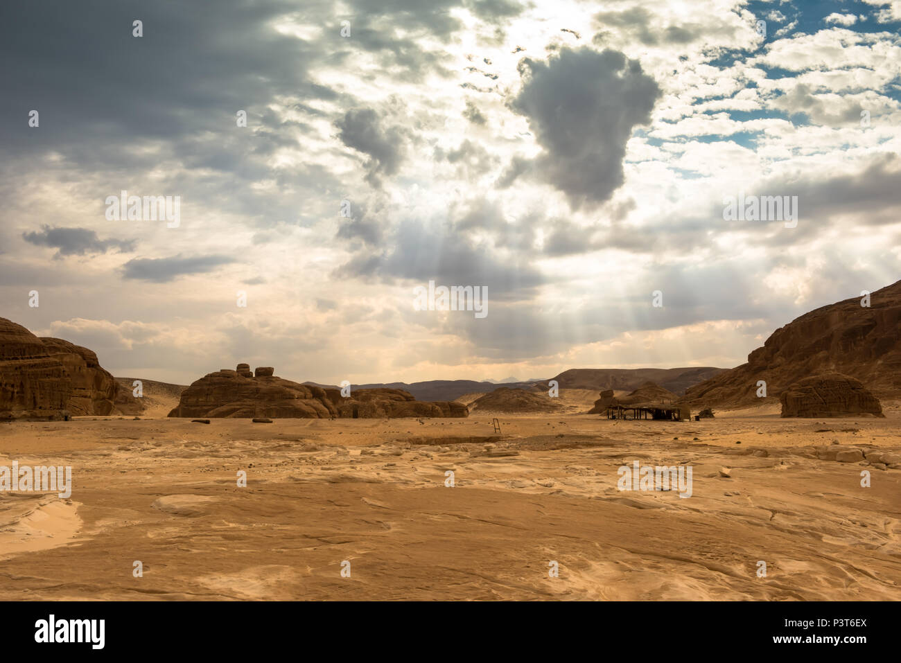 Gold trockenen Wüstenlandschaft Sinai, Ägypten Stockfoto