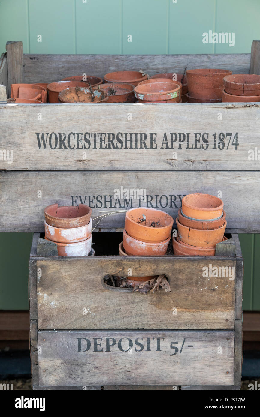 Alte Terrakotta Blumentöpfe und alten Holzkisten eine Blume zeigen. Großbritannien Stockfoto