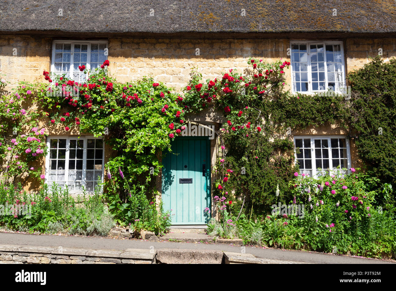 Rose gedeckten Reetdachhaus in Country Village, Ebrington, die Cotswolds, Gloucestershire, England, Vereinigtes Königreich, Europoe Stockfoto