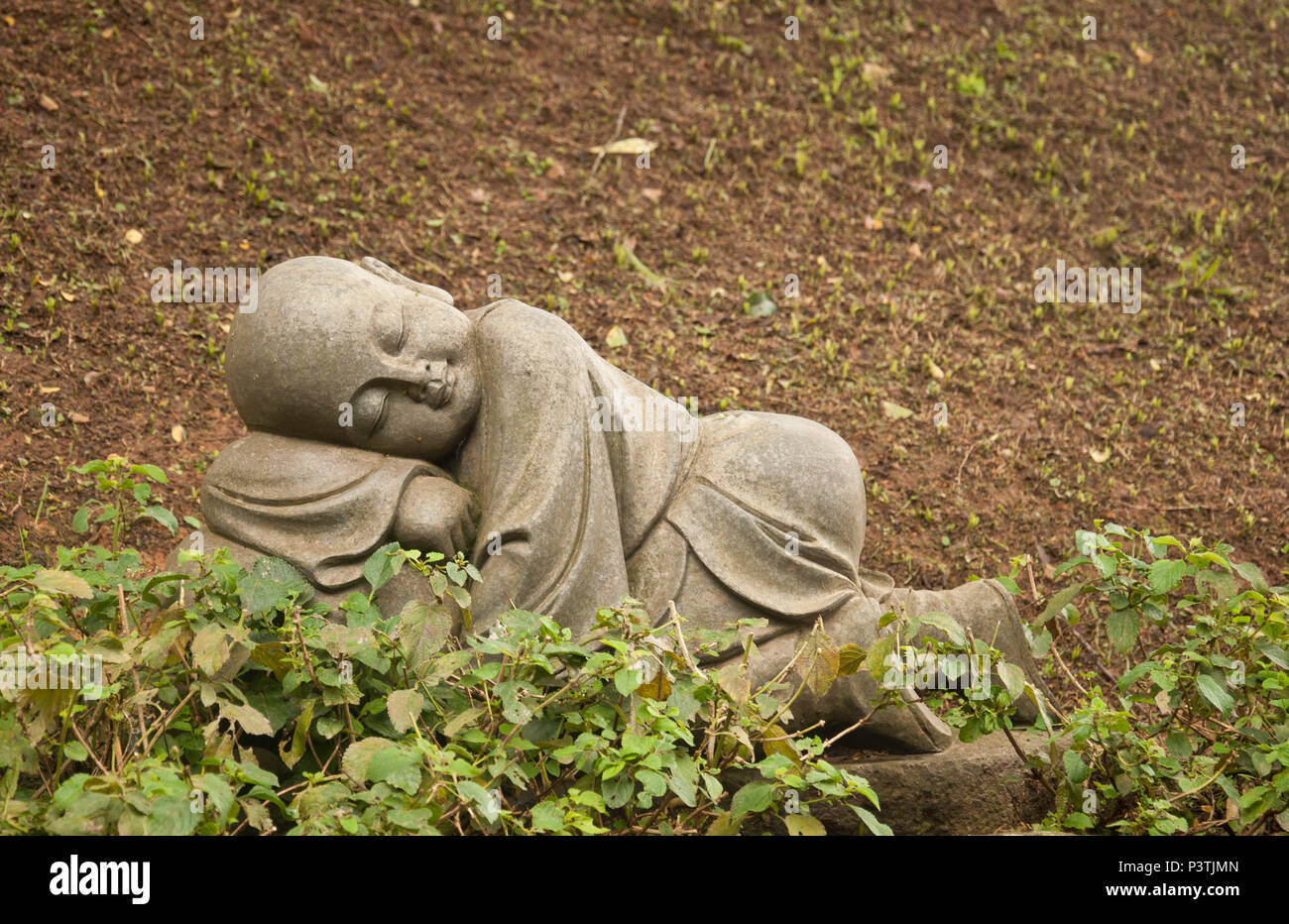 COTIA, SP - 21.02.2016: TEMPLO ZU LAI-Estátuas de BUda crinça keine Jardim de Entrada do Templo budista Zu Lai. (Foto: Daniela Maria/Fotoarena) Stockfoto