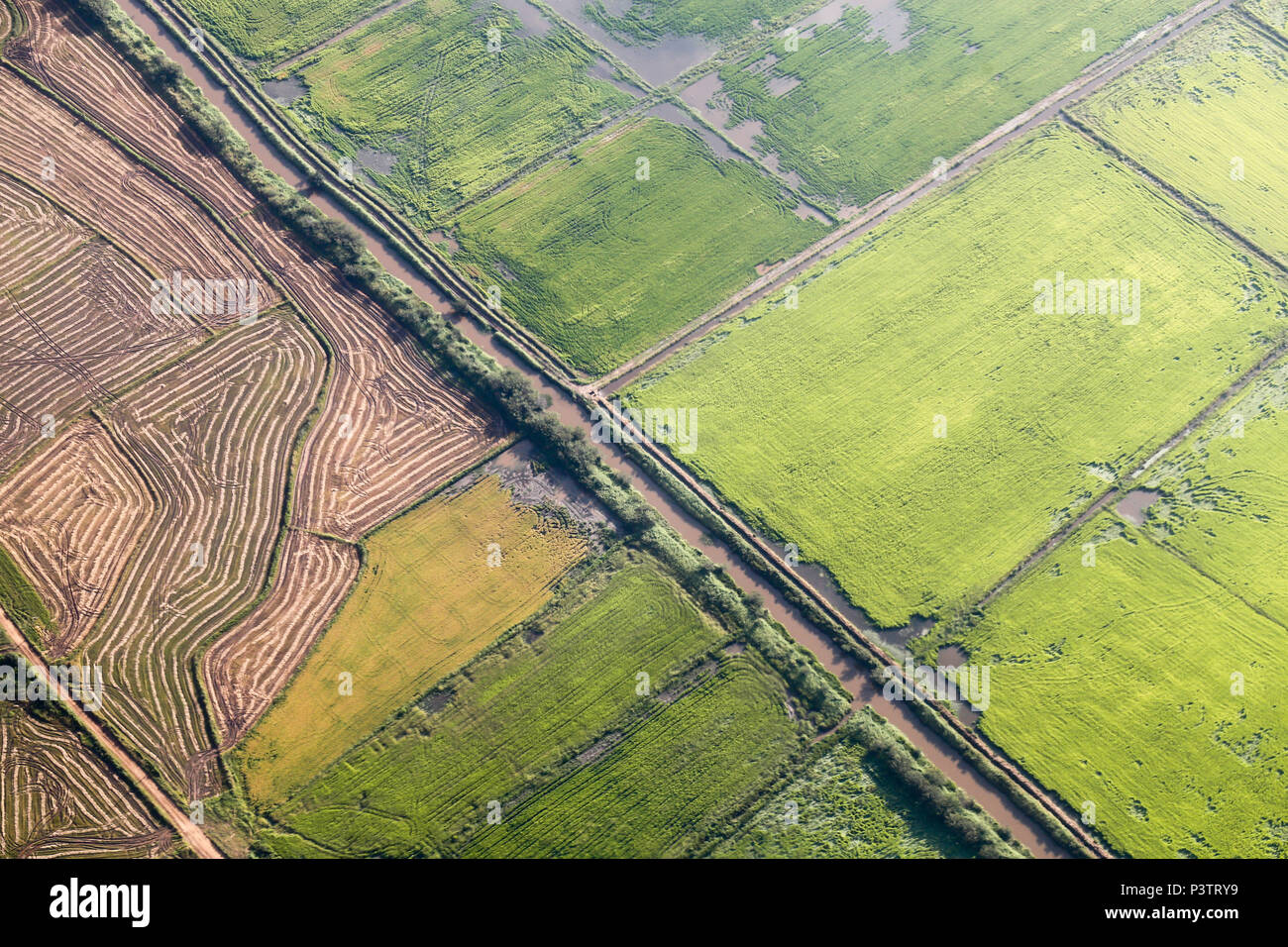 PORTO ALEGRE, RS - 05.04.2016: VISTA AÉREA - Vista aérea de Plantação de Arroz à margens do Rio Guíba em Porto Alegre. (Foto: Rodolfo Buhrer/Fotoarena) Stockfoto